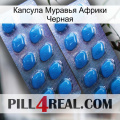 Капсула Муравья Африки Черная viagra2